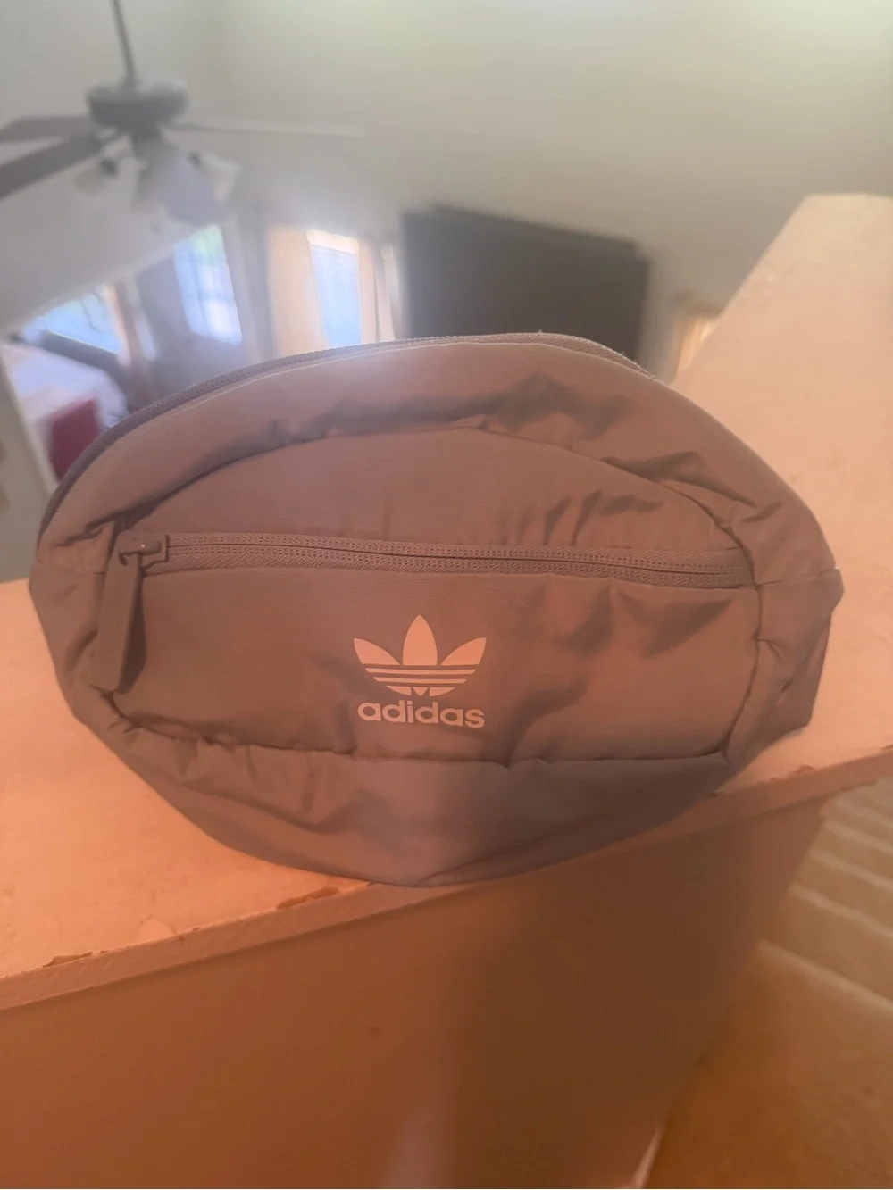 adidas Trefoil Belt Bag in Teal Green